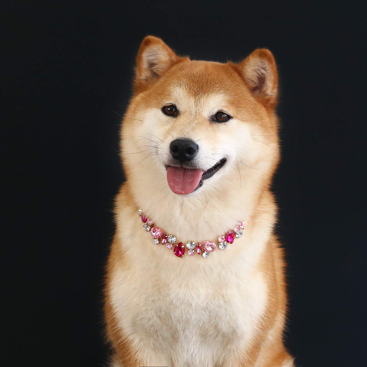 Dog Cat Rhinestone Diamante Collar Necklace Puppy Crystal Bling Pet Accessory