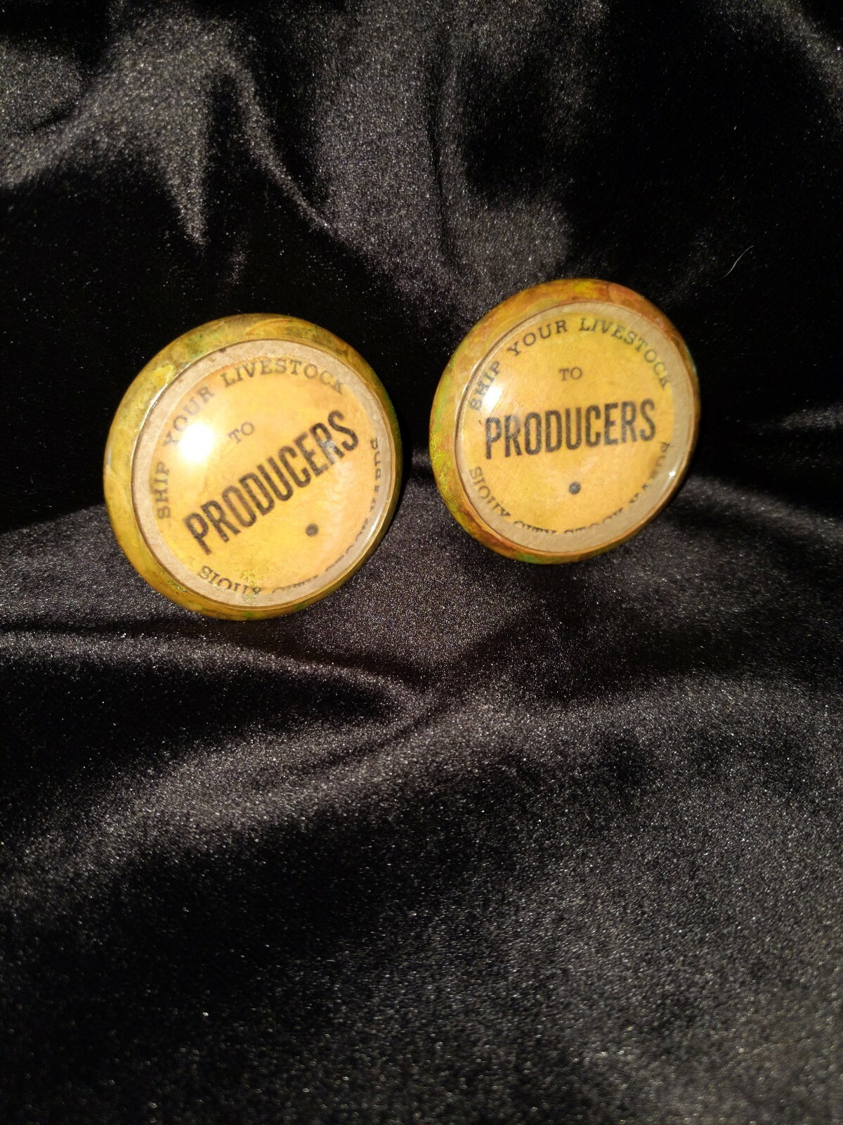 Bridle Rosettes Producers Livestock adv