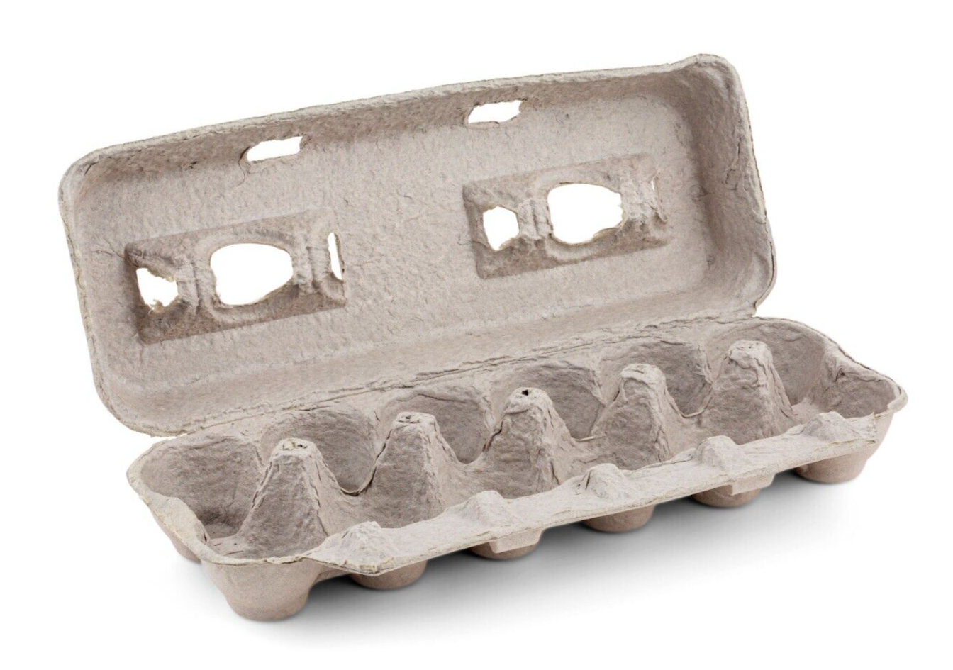 MT Products Printed Pulp XL Paper Egg Cartons Hold Eggs 12 Count - Pack of 10