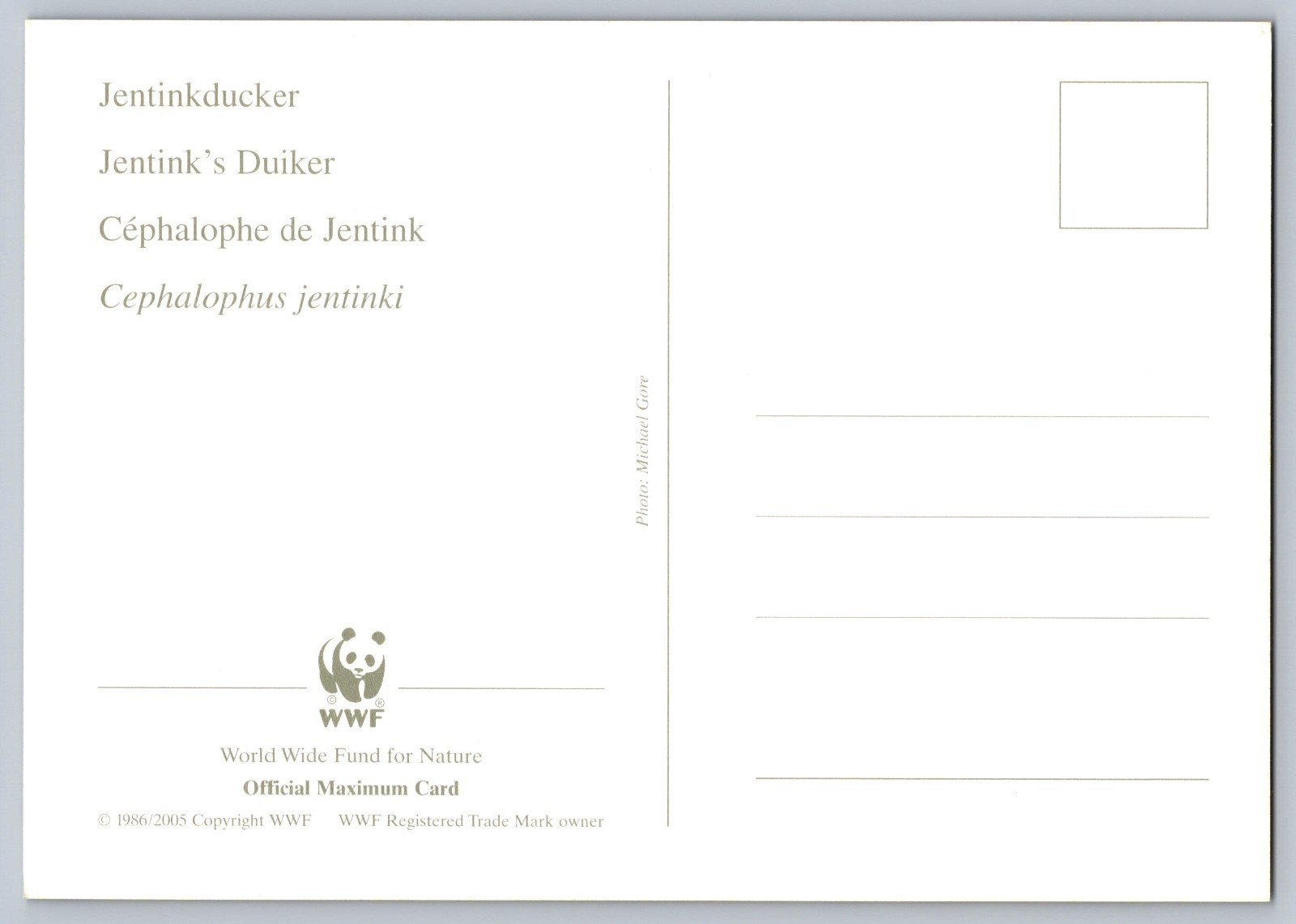 Liberia 2005 Jentink's Duiker & Ogilby's Duiker Set of Four FDC Maxi Cards