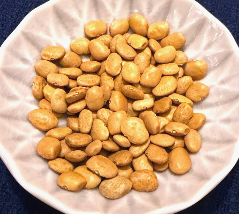 Tepary beans (Phaseolus acutifolius) Qty: 40