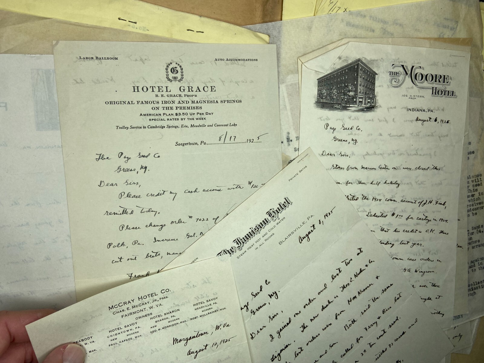 RARE Letter Archive - Traveling Salesman - Page Seed Co Greene, NY 1925 NY, PA,