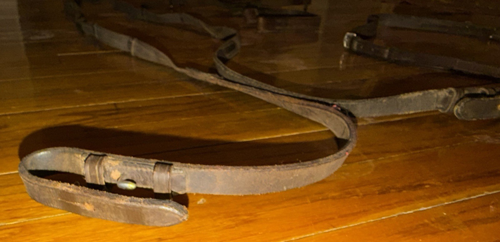 Leather Horse Head Gear and Leather/Nylon Reins