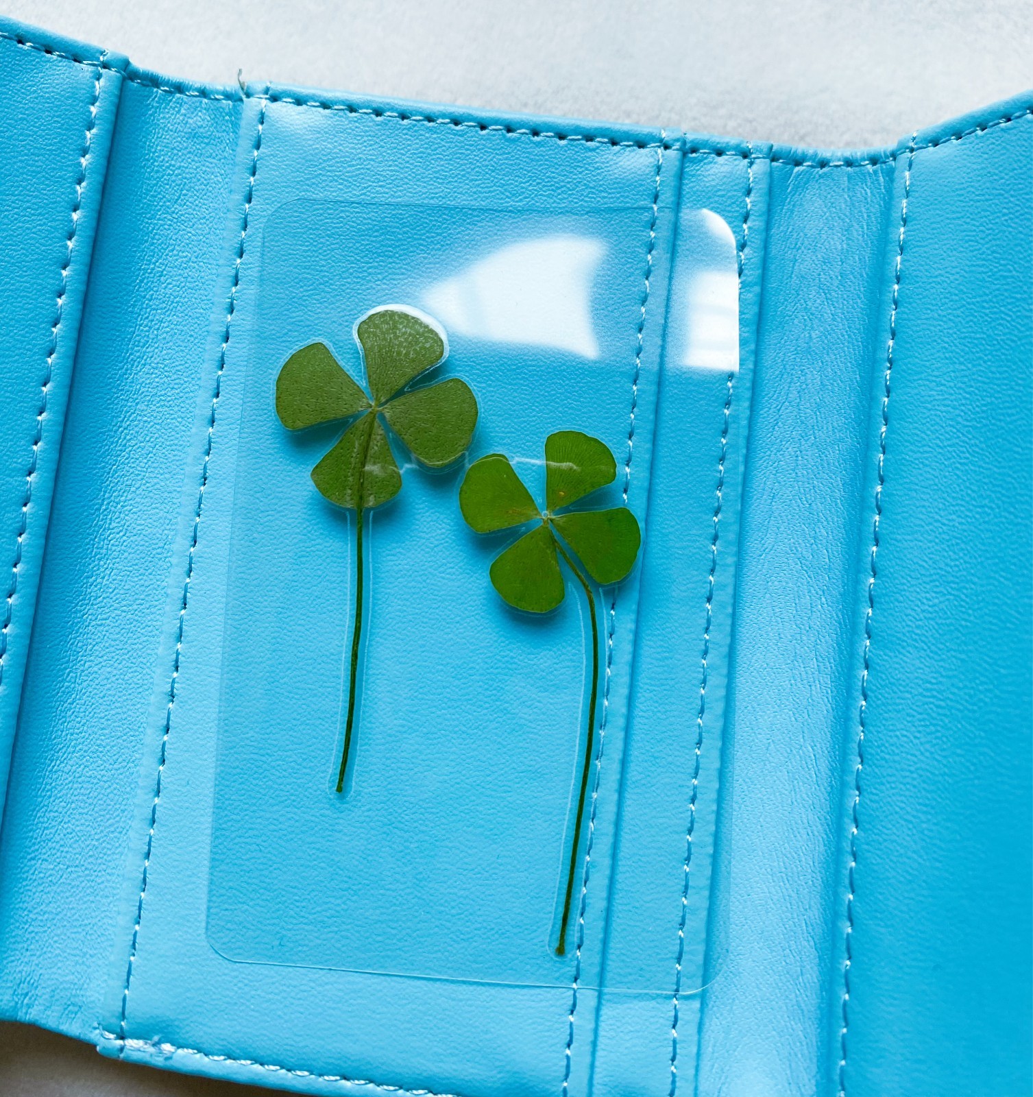 🍀Real Four Leaf Clover- Laminated Pressed Lucky Clover Good Luck Charm