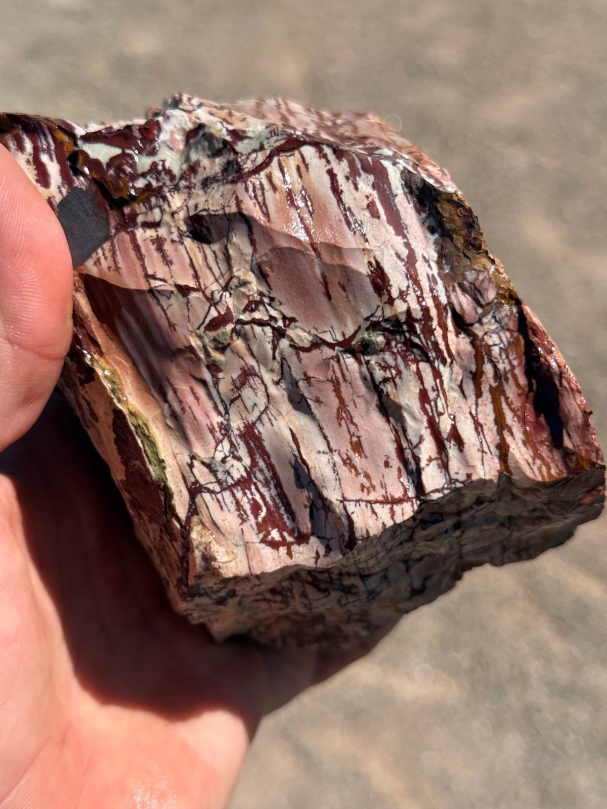 Dead Camel Jasper rough 21 pounds