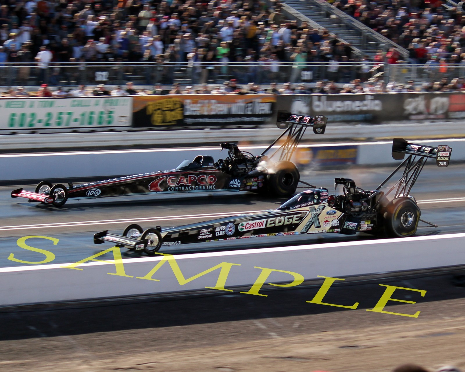 BRITTANY FORCE & STEVE TORRENCE TOP FUEL CARS ON TRACK 8X10 GLOSSY PHOTO #3Q