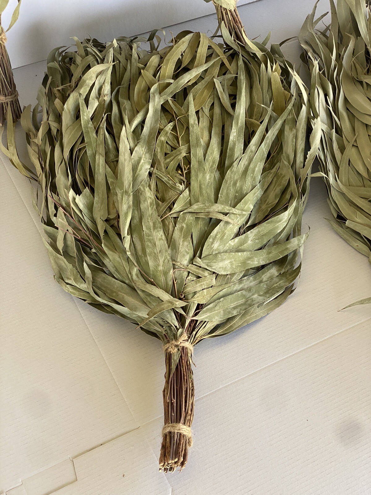 24 Birch brooms NEW SEASON 2025 sauna banya venik Eiche whisks eco Ukrainian