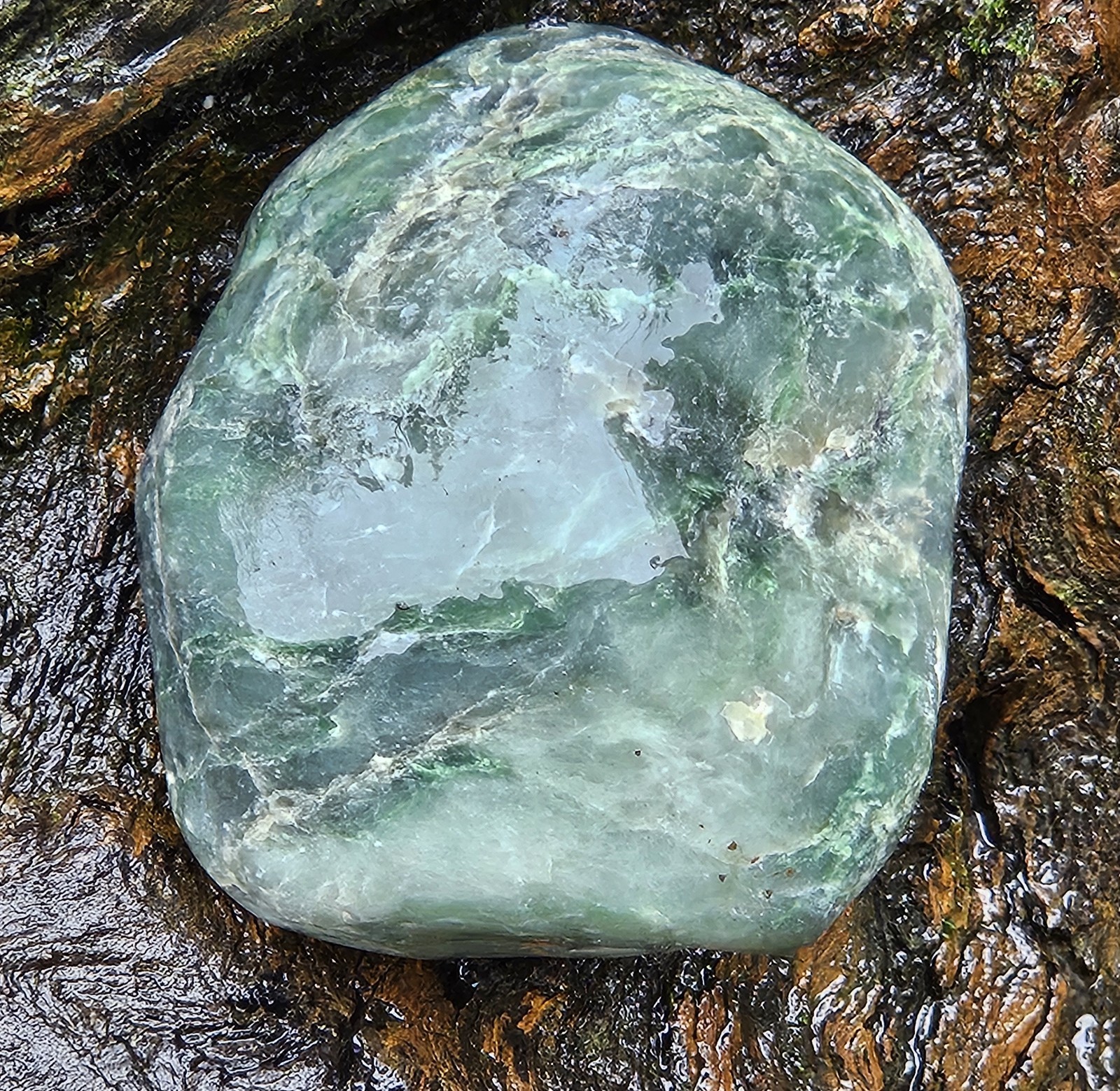 Nephrite Transluscent Jade Rough Jade Cove Willow Creek California 329 Grams