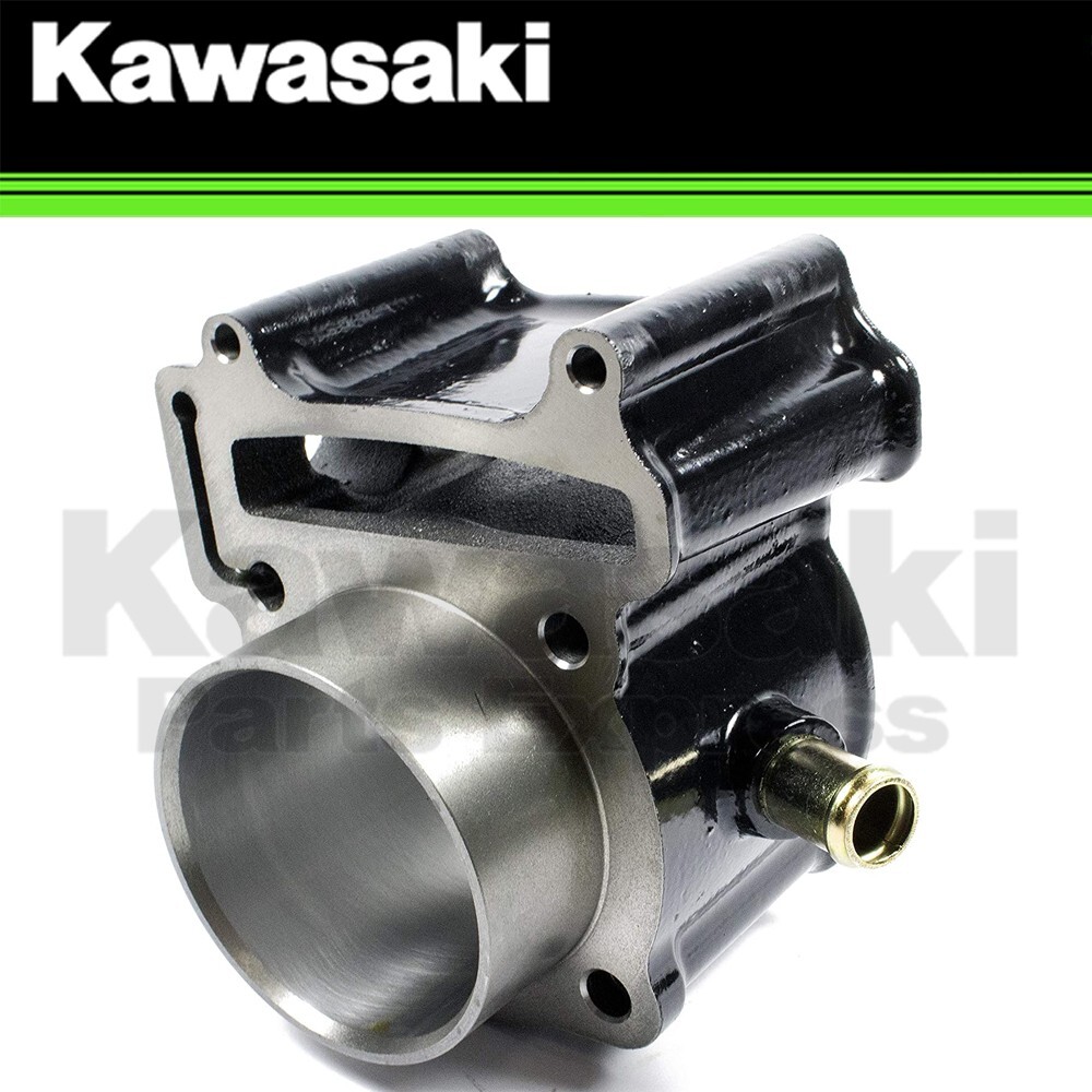 NEW 2012 - 2025 GENUINE KAWASAKI BRUTE FORCE 300 ENGINE CYLINDER 11005-Y003