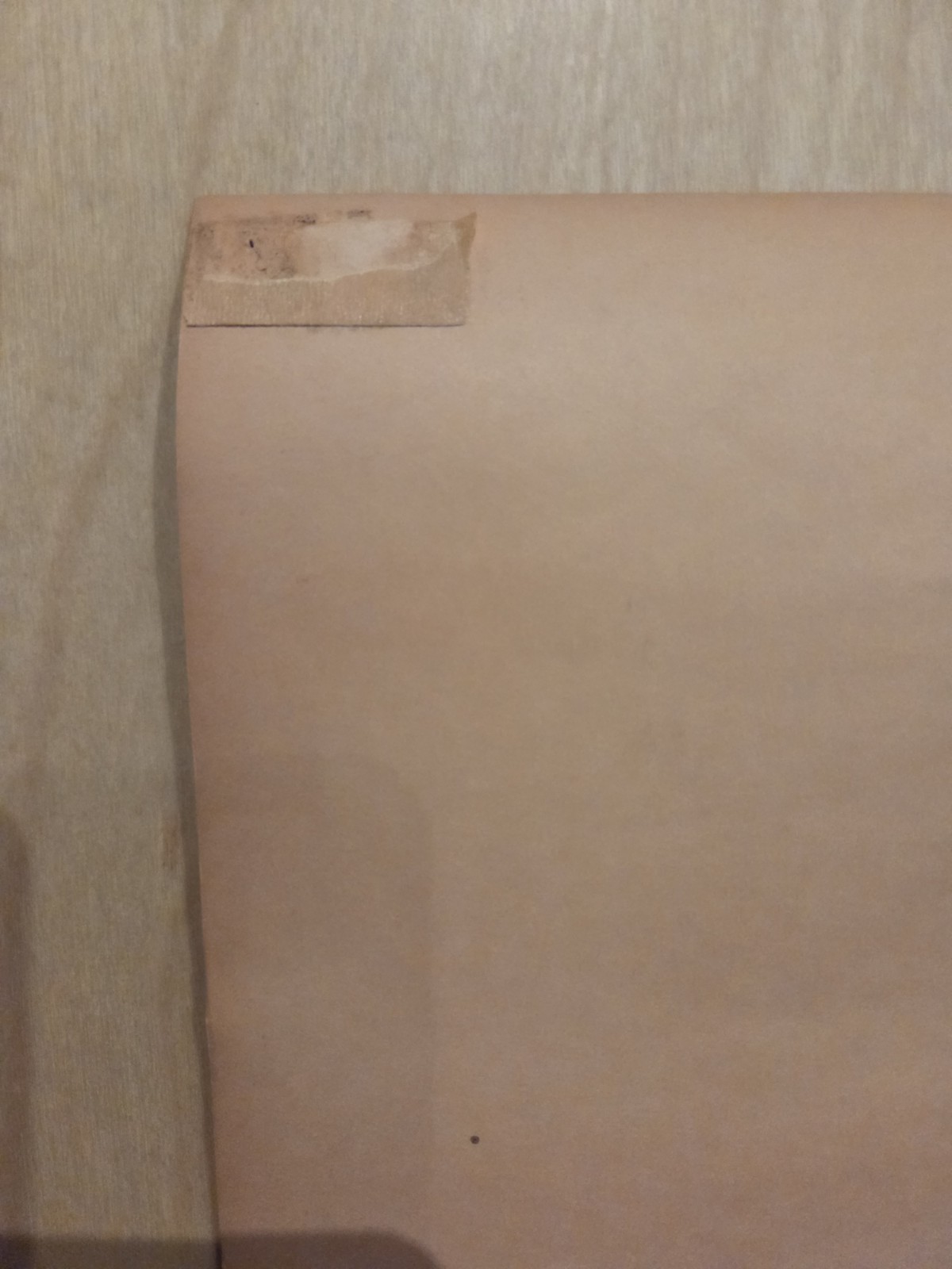 Big Brother Janis Ark Sausalito Poster AOR 2.309 1967 2nd Print RP-2 BG FD