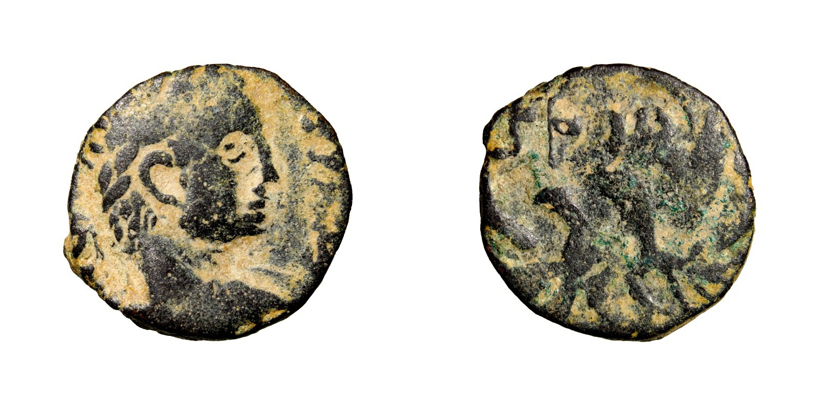UNPUBLISHED Two Eagle SPQR JUDAEA. Caesarea Maritima. Severus Alexander, 222-235