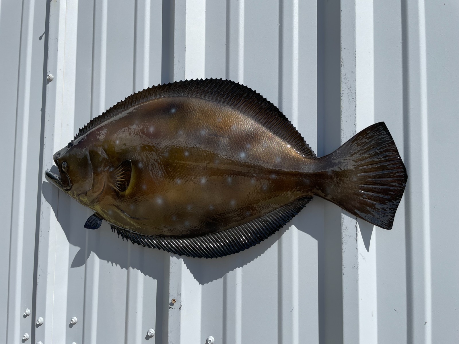 27" Flounder Half Mount Fish Replica - Quick Production