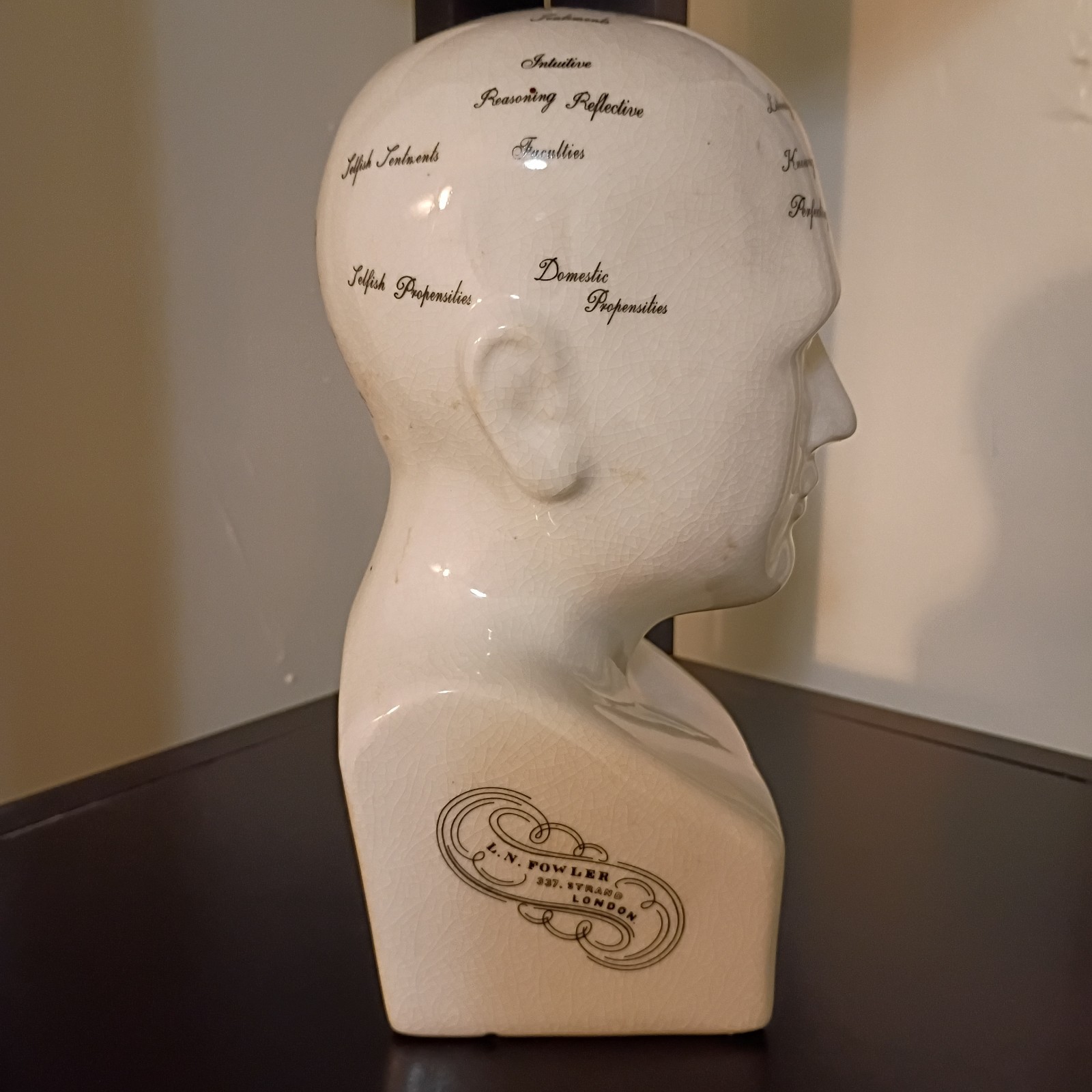 Porcelain L.N. Fowler Phrenology Scientific Psychology 8” Bust Head