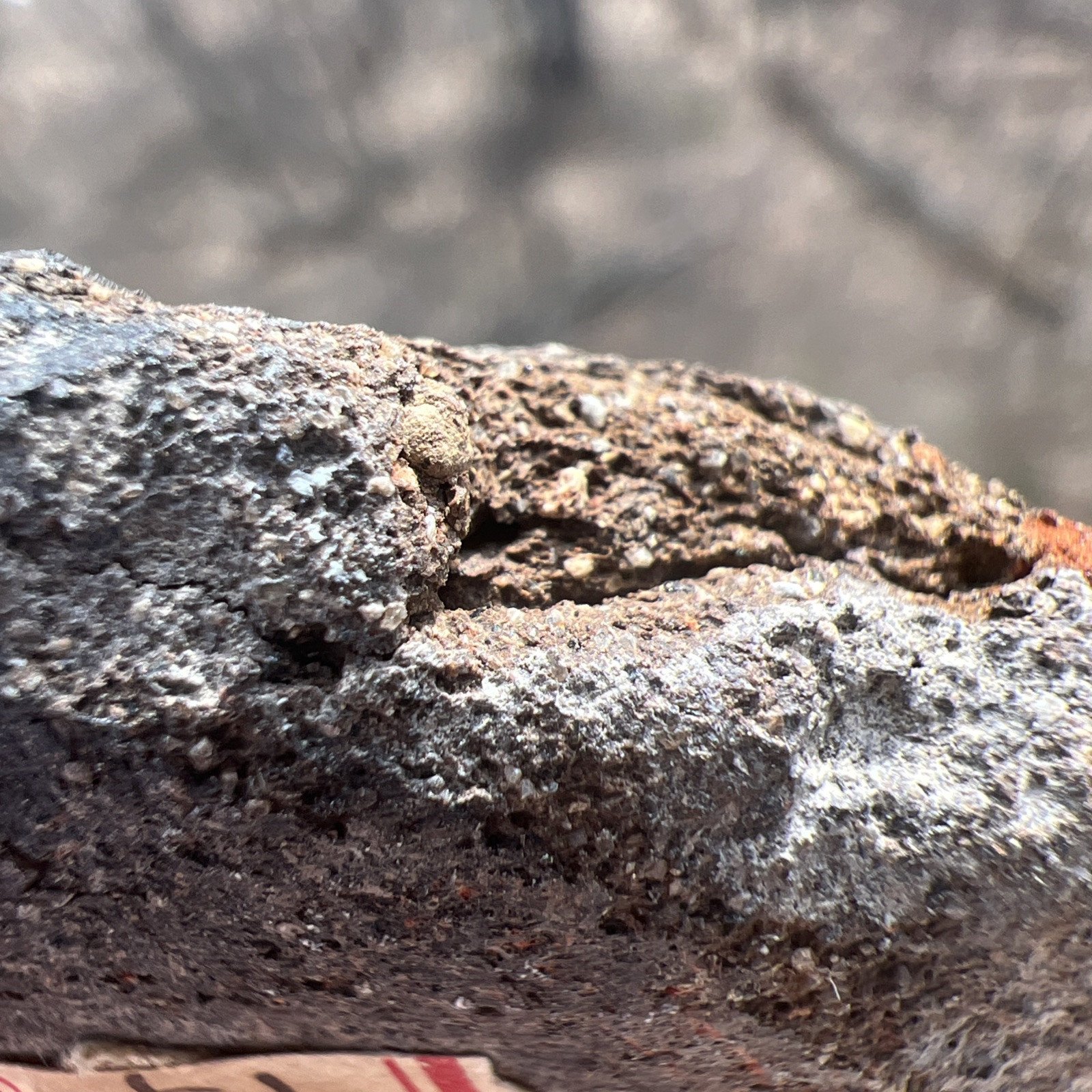 Carved STONE HEAD/EFFIGY May Be Mayan