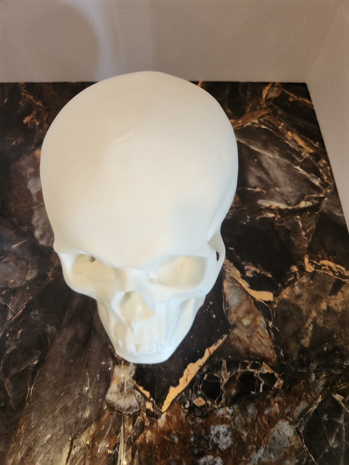 Human Skull Replica - 1:1 Medical Scan Anatomical-Study Gem