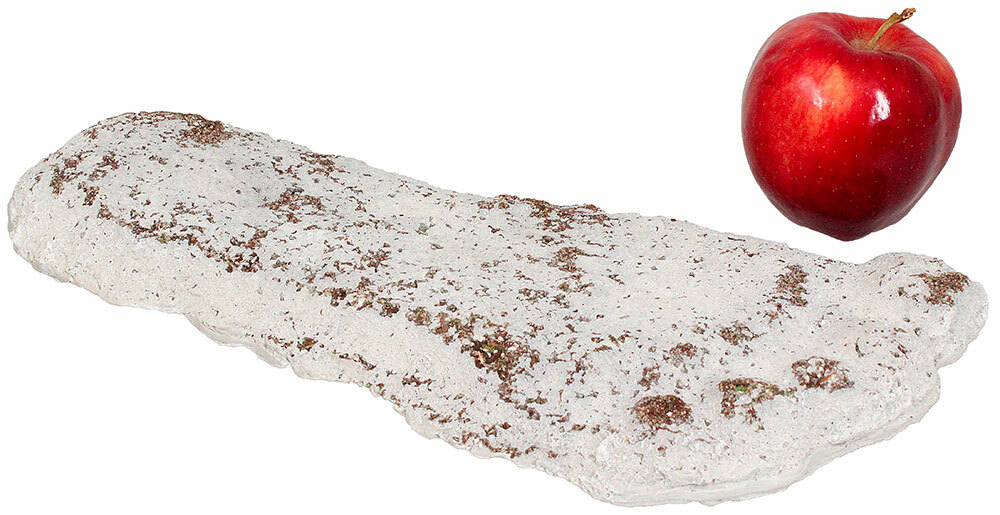 Arcane Artifacts Bigfoot Track Casting FULL SIZE Footprint Sasquatch NOT PLASTER