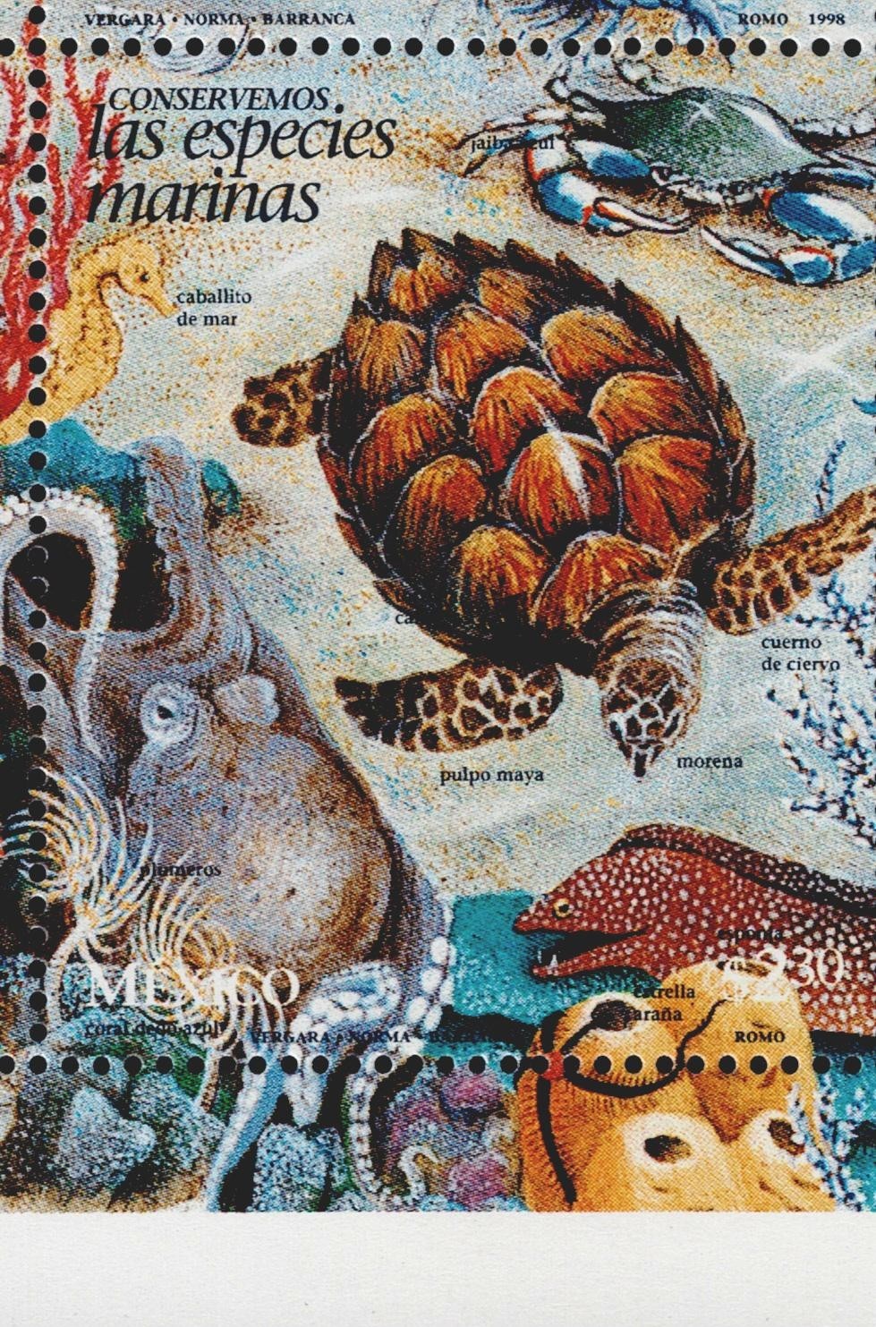 Mexico Fauna Marine Life Turtles Crab Squids stamp 1998 MNH A-5