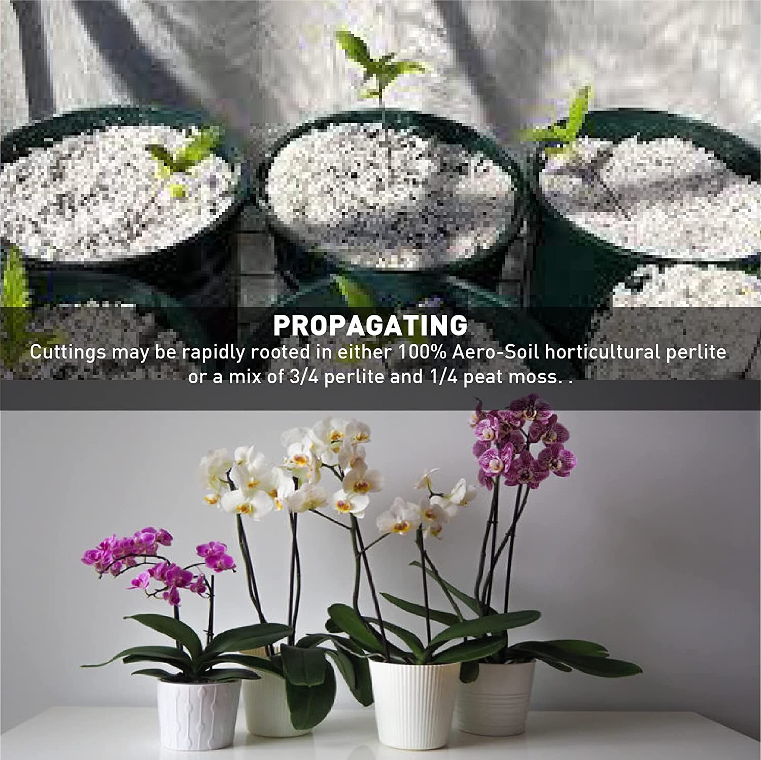 AeroSoil Perlite Horticultural Soil Additive – Seed Starter - Coarse 4 CF