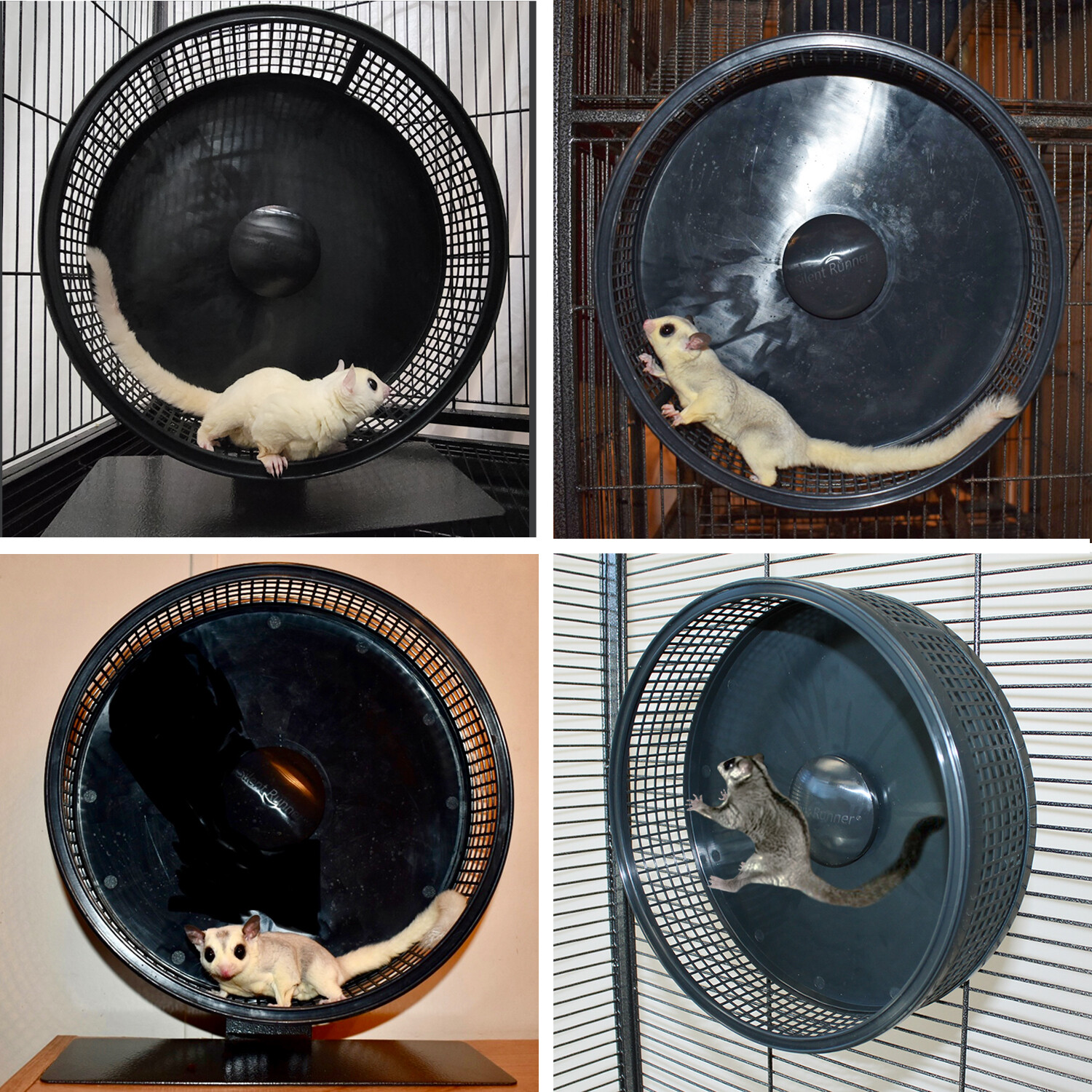 Silent Runner Pro Black - Durable Pet Exercise Wheel with Cage Attachment