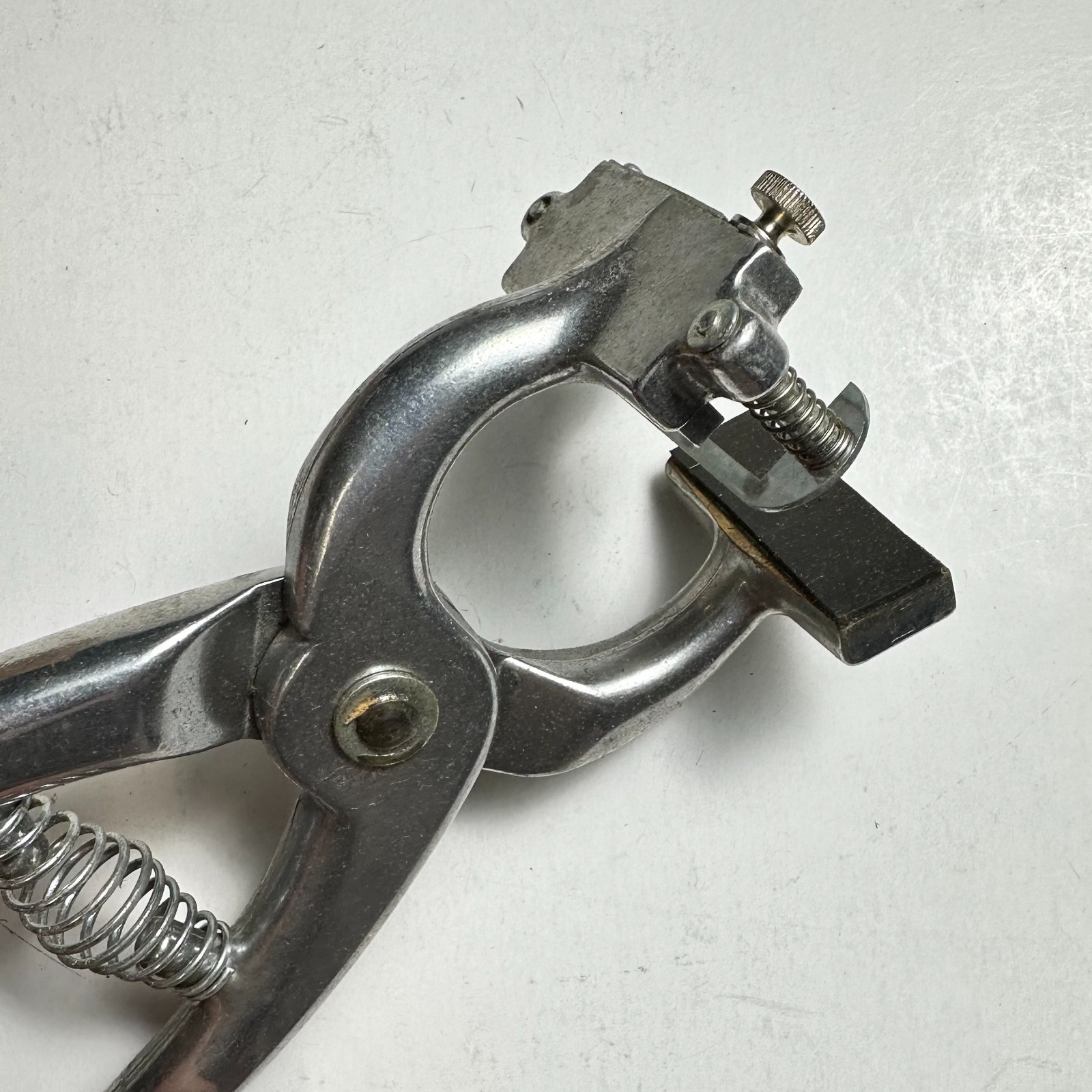 Vintage Stone Animal Tattoo Outfit Tattoo Digits