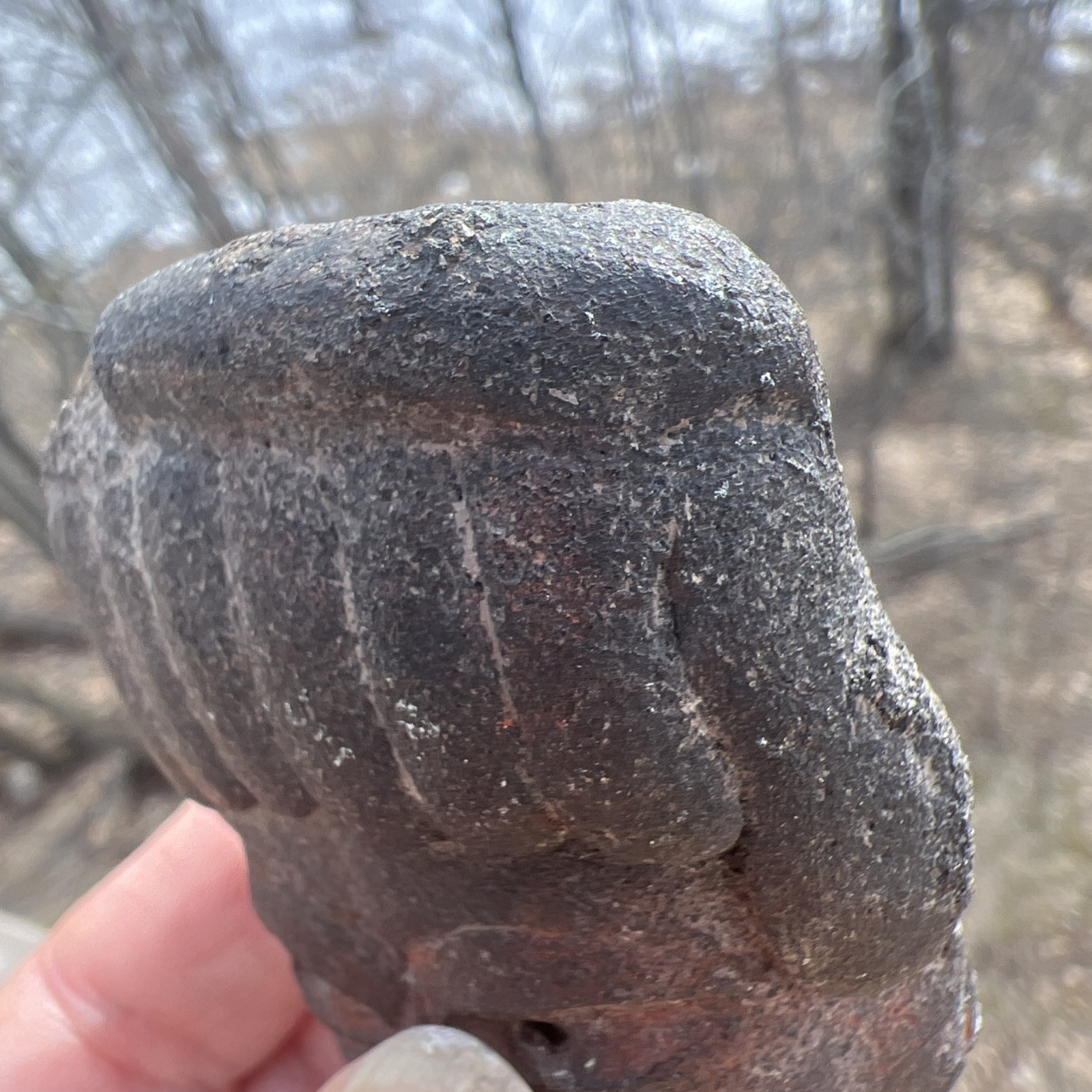 Carved STONE HEAD/EFFIGY May Be Mayan
