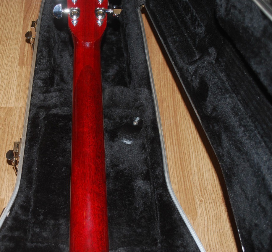 Zager ZAD 50 OM Acoustic Electric Guitar With Zager Hard Shell Case