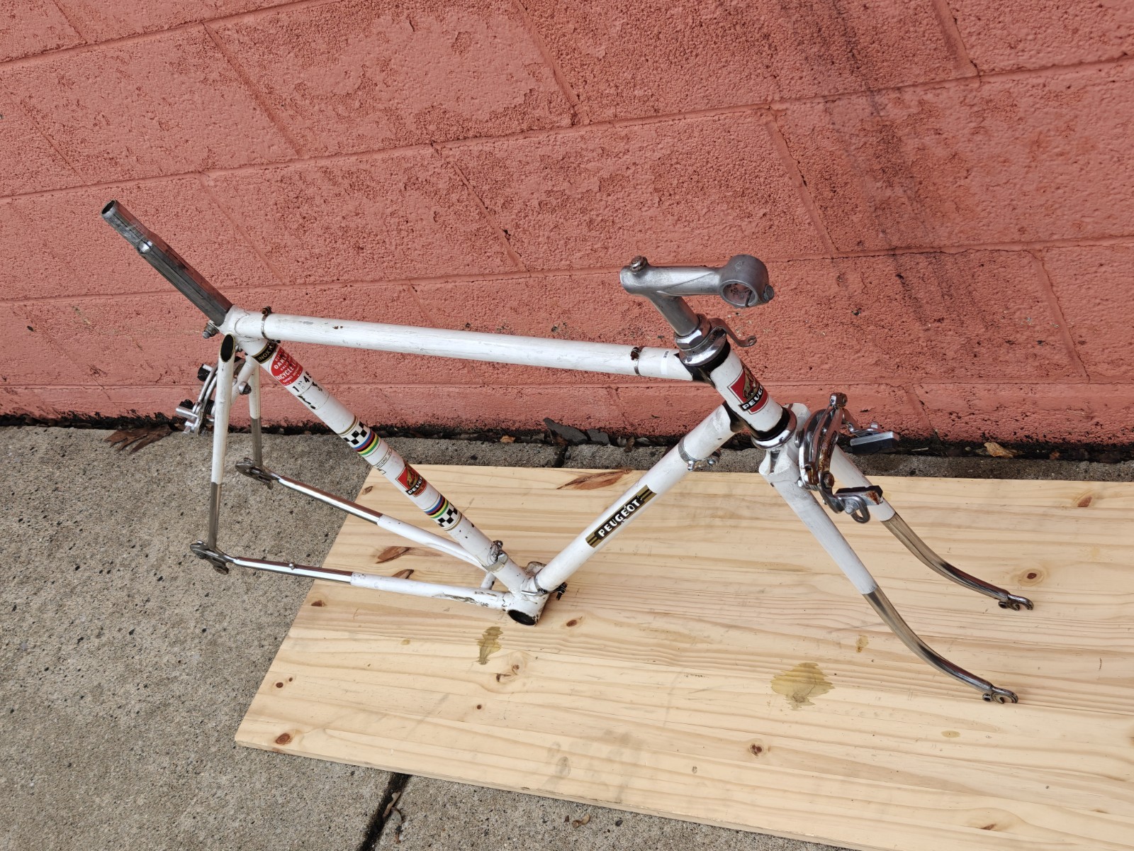 Peugeot PX-10 Vintage Bicycle Frame / Partial Bicycle 54/55cm