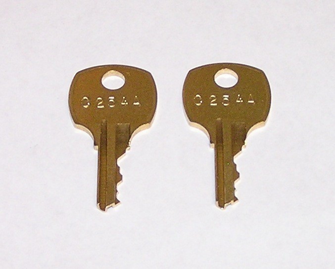 2 - C254A Replacement Keys fit Honeywell TG509, 510, 511, 512 Thermostat Guard