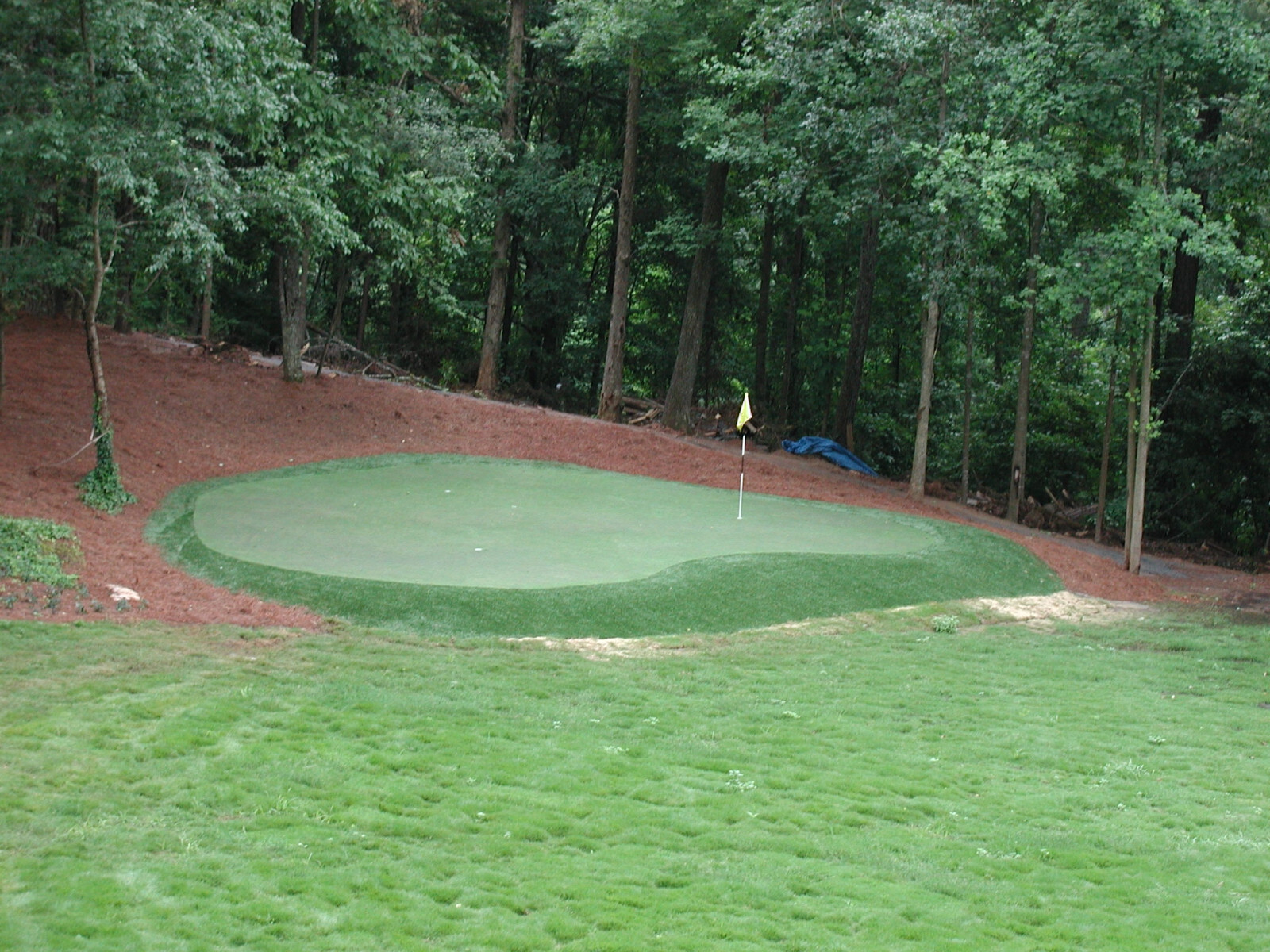 15' x25' SyntheticTurf Backyard Grass Practice Putting Golf Green Indoor Outdoor