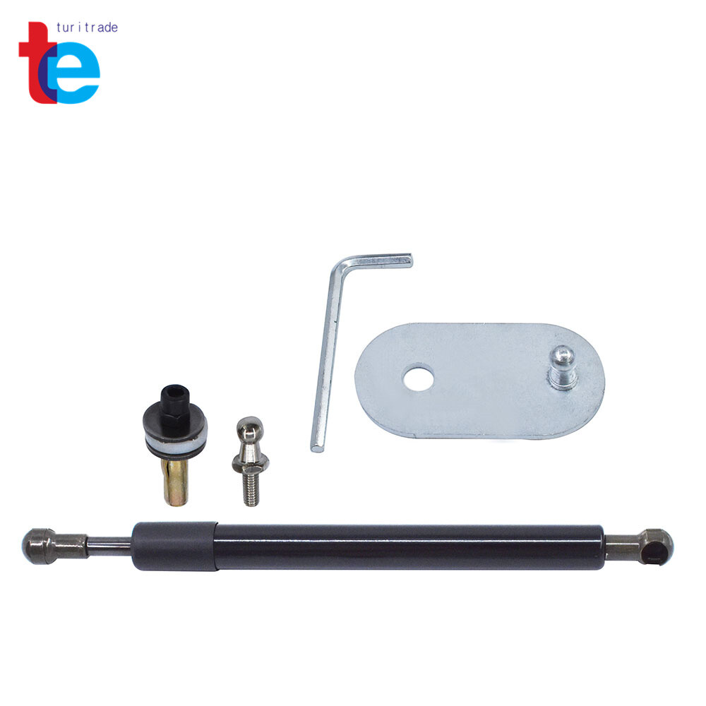 DZ43200 Tailgate Assist Lift Support Shock Struts For Ford F-150 2004-2010-2014