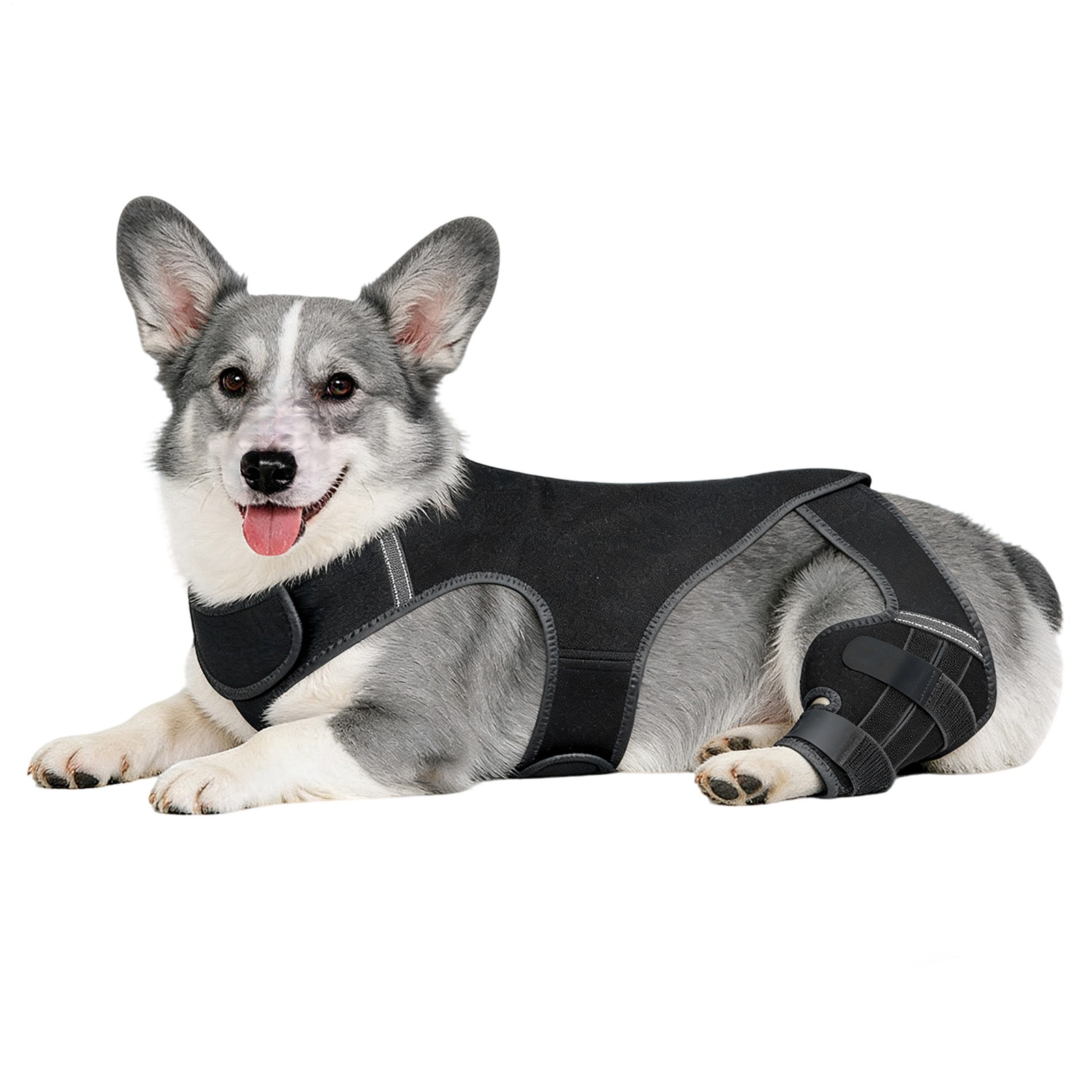 Dog Knee Brace For Torn Acl Leg For Support With Cruciate Ligament Injury Adjust