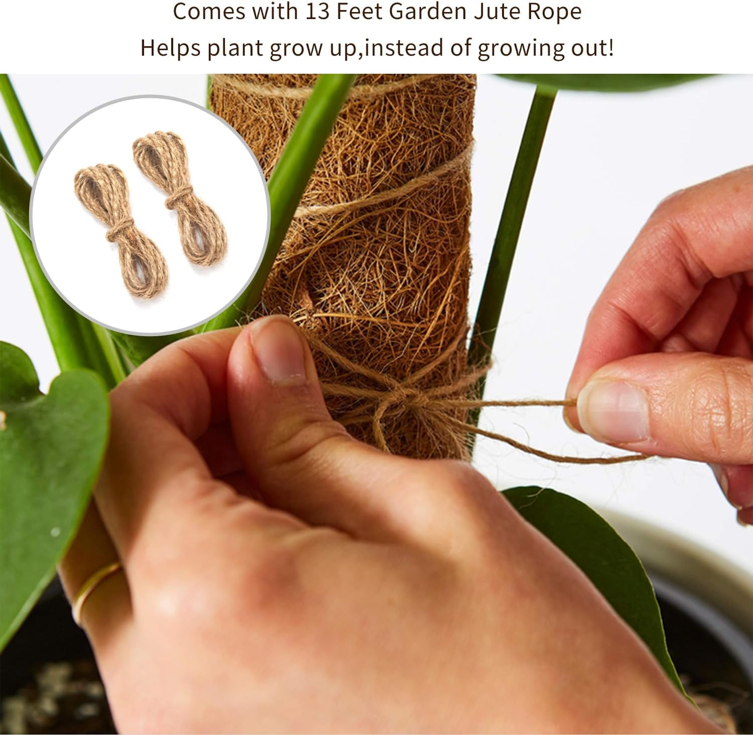 30 Inch Moss Pole for Climbing Plants - 2 Pack 15 Inch Coir Totem Pole Plant Sup