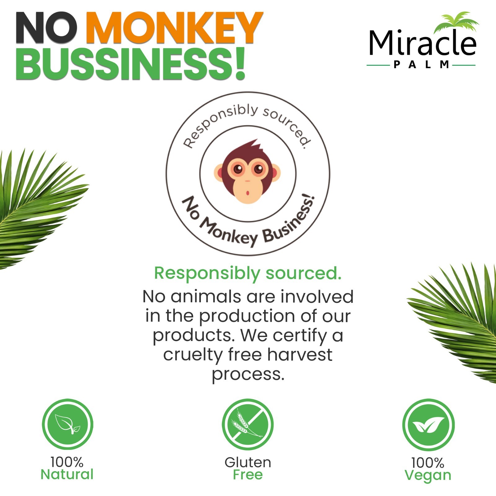 Organic coconut shredded