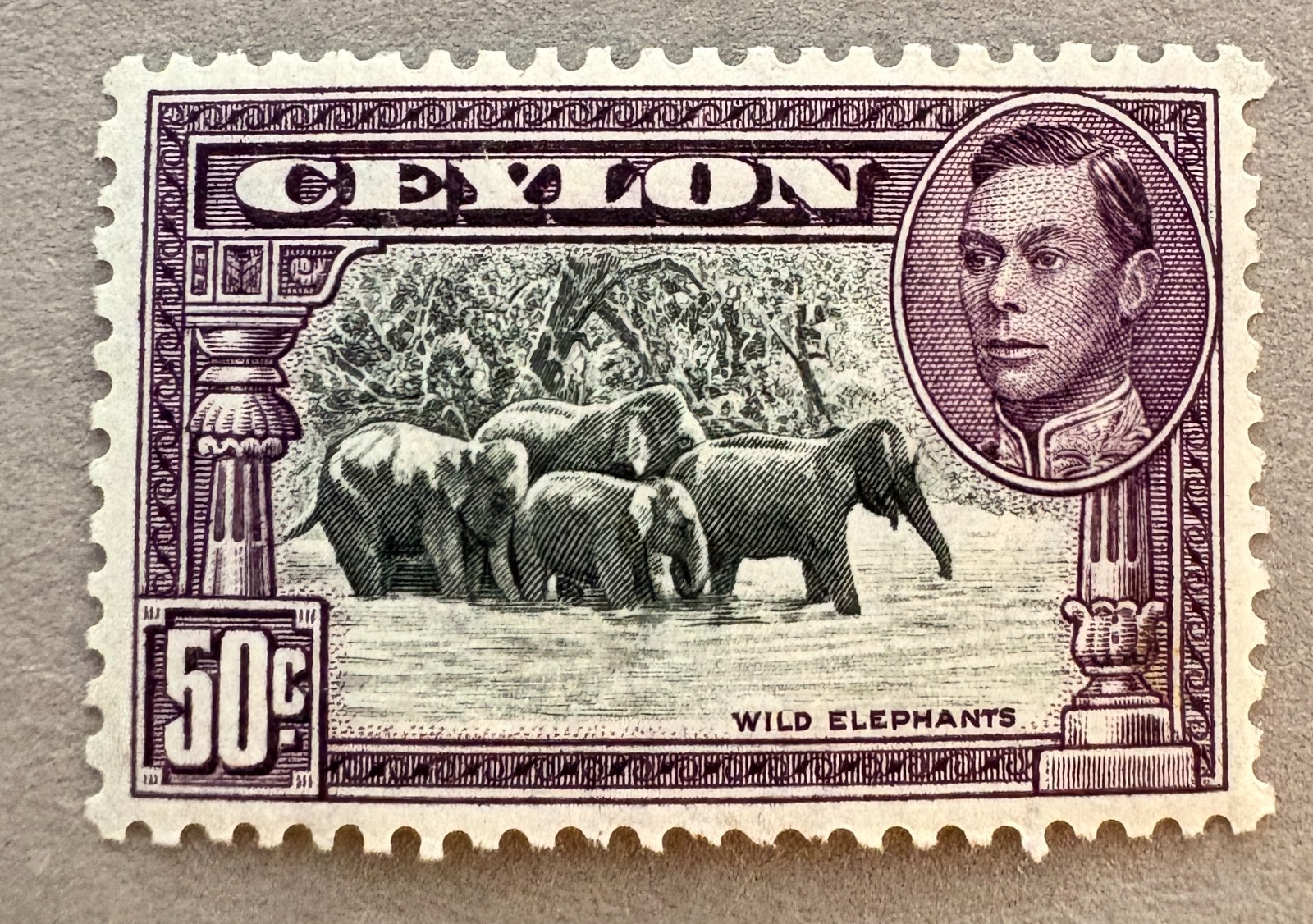 Ceylon 286e / 1942 King George KGV Wild Elephants Stamp / MH