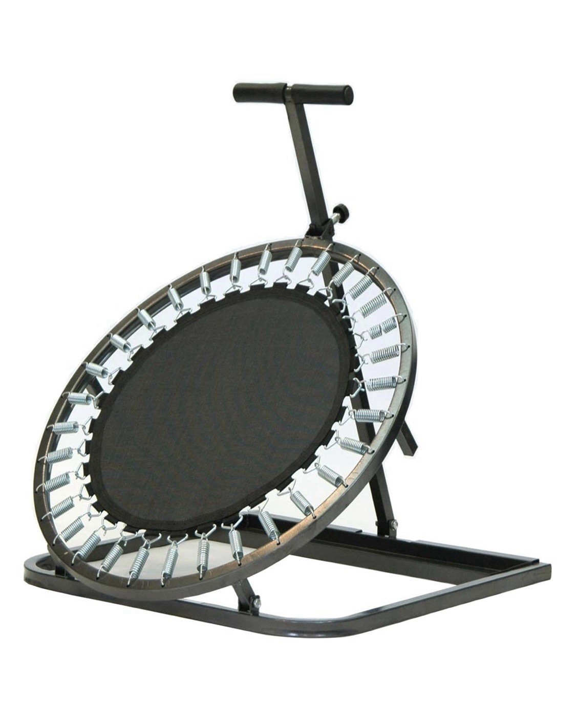Champion 2'4" Dia. Medicine Ball Rebounder, MBR40