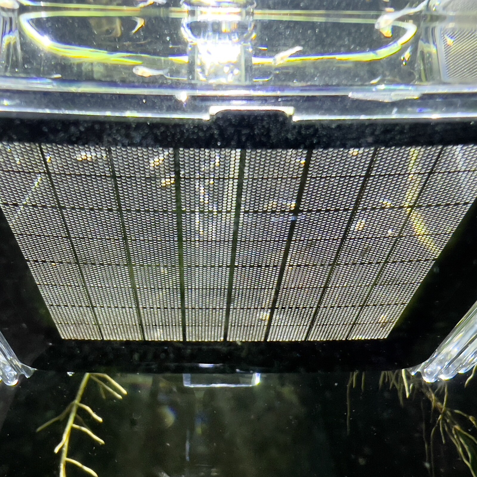 Fish Breeder Box Hatchery/Livebearer Hang-On Rimmed or Rimless Tank - FREE SHIP!