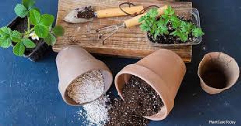 PERLITE (FAST SHIP) QUALITY MEDIUM FINE, SEED STARTING NURSERY POTTING PLANTS