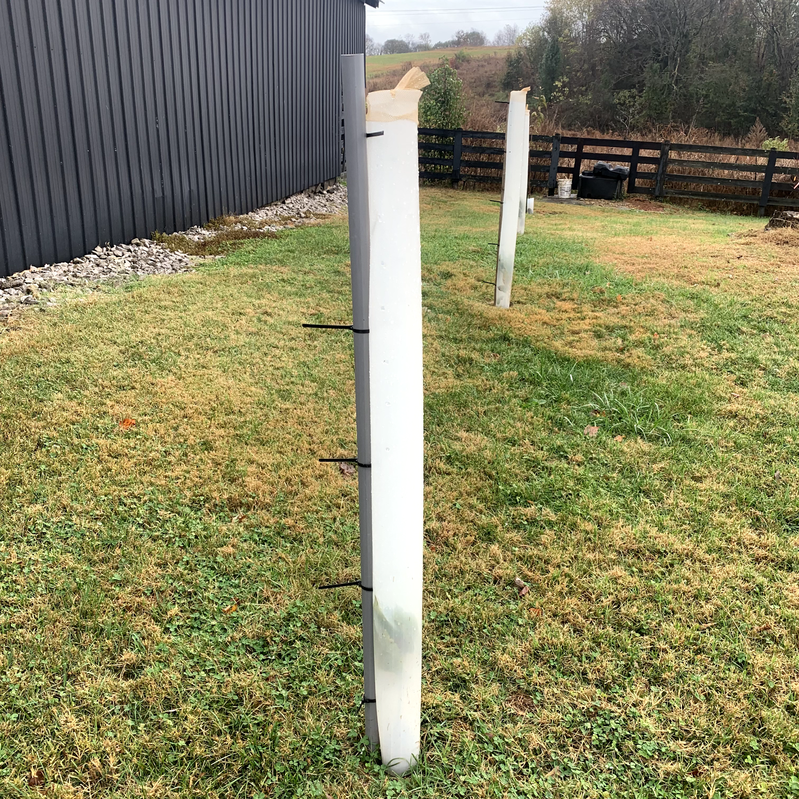 5 USA Made 12"-72" TREE PRO GROWTH SHELTER WILDLIFE GUARD TUBE PROTECTORS-Split