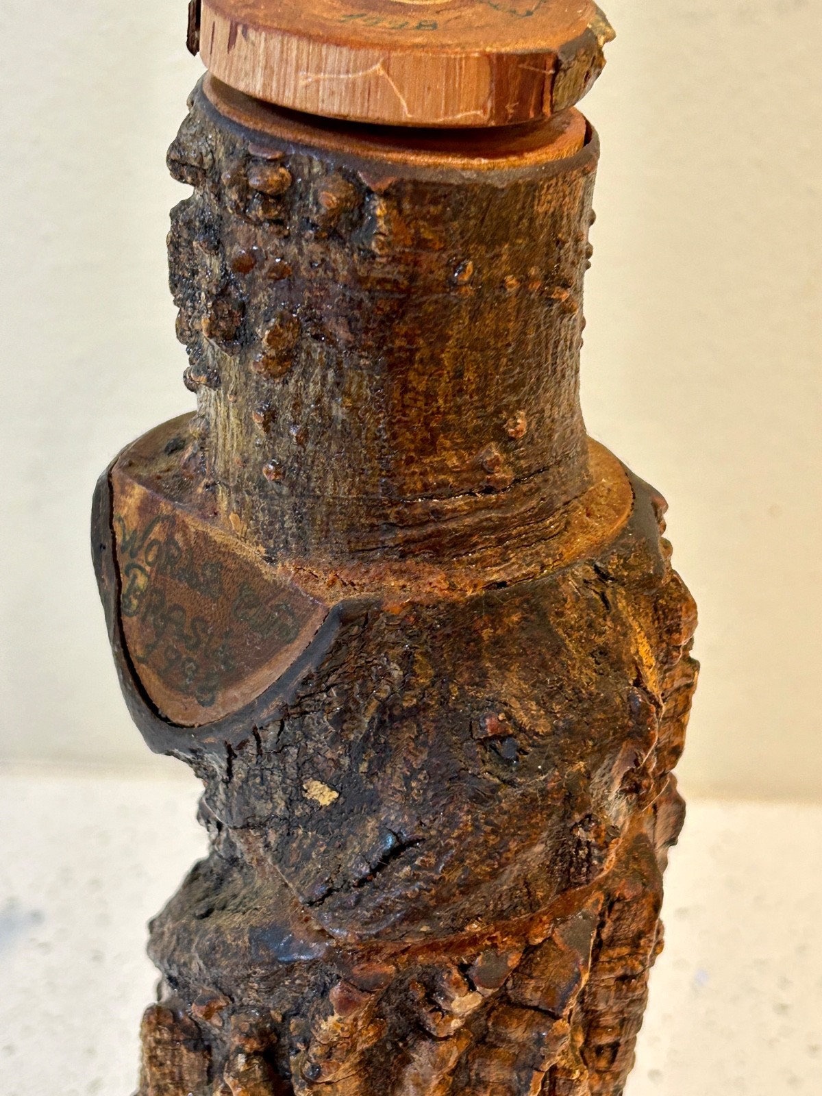 Burl Wood Bottle with Branch Handle from Parque Georgia Brazil - RARE Unusual!