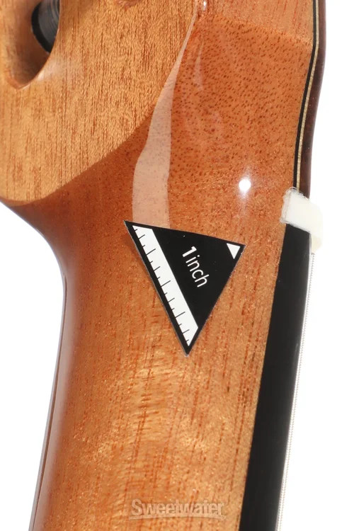 Cordoba Fusion Orchestra CE Nylon String Acoustic Guitar - Cedar