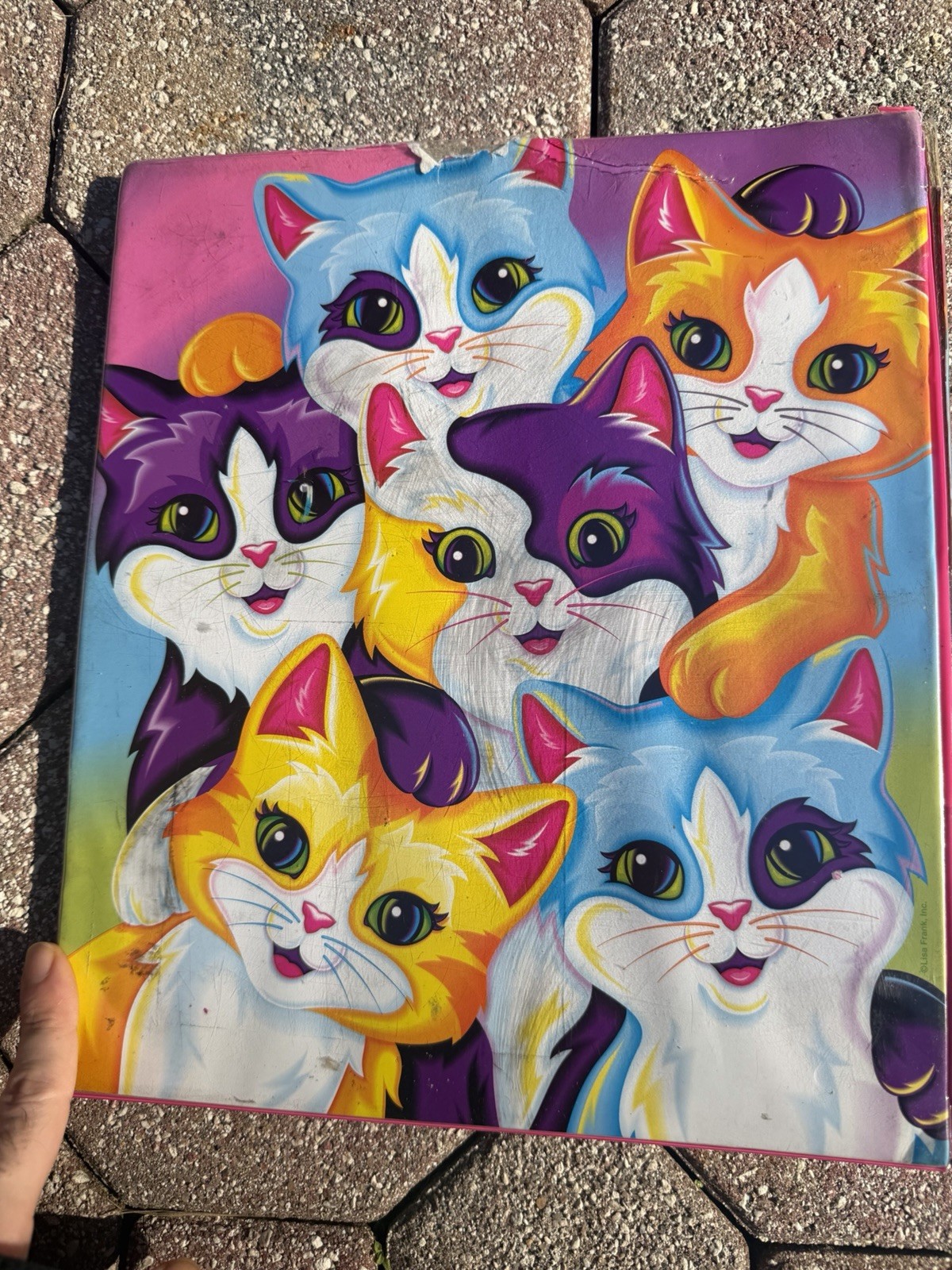 Vintage Lisa Frank Trapper Binder Cats Rare