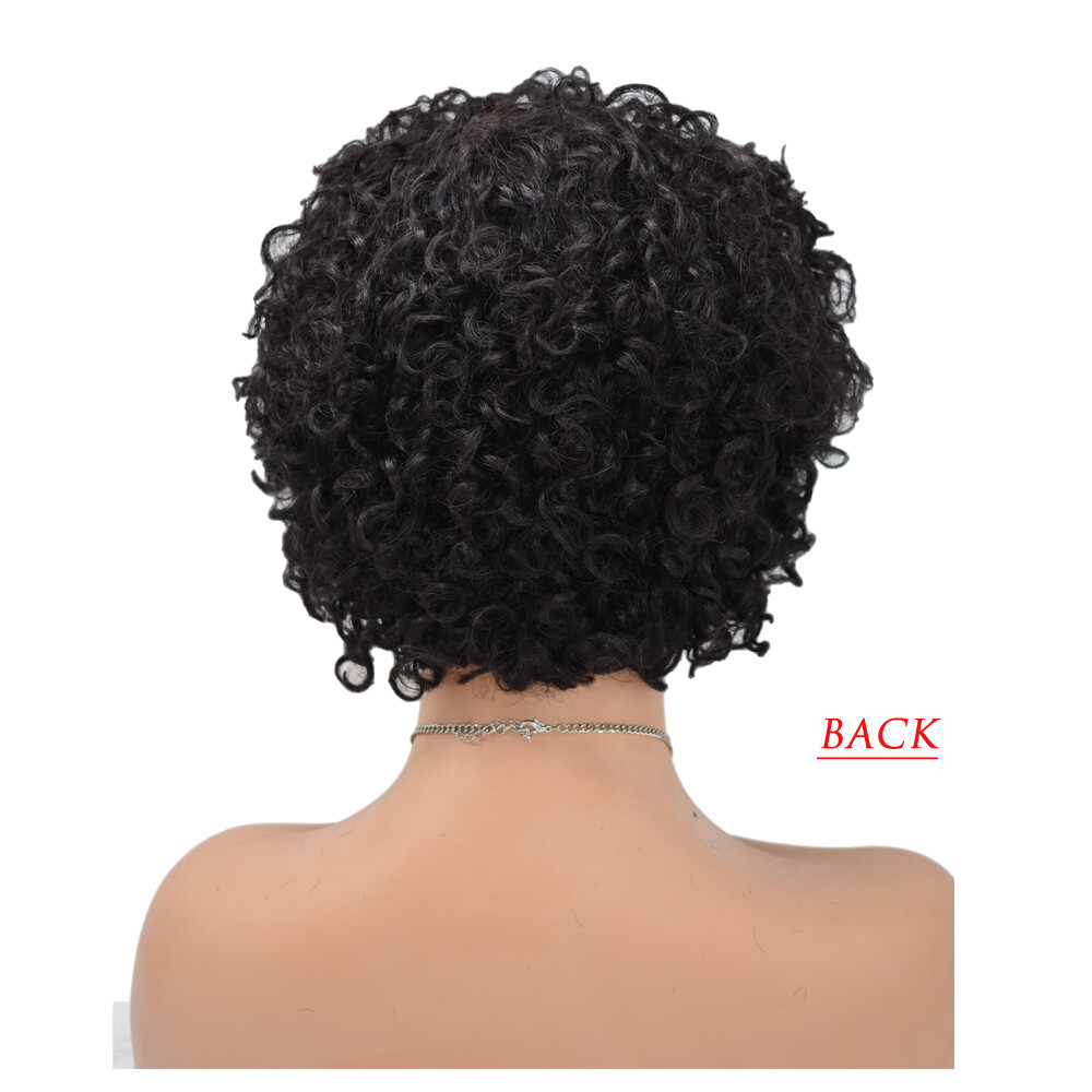 Short Kinky Curly Afro Wigs for Black Women 100% Brazilian Human Hair Natural US