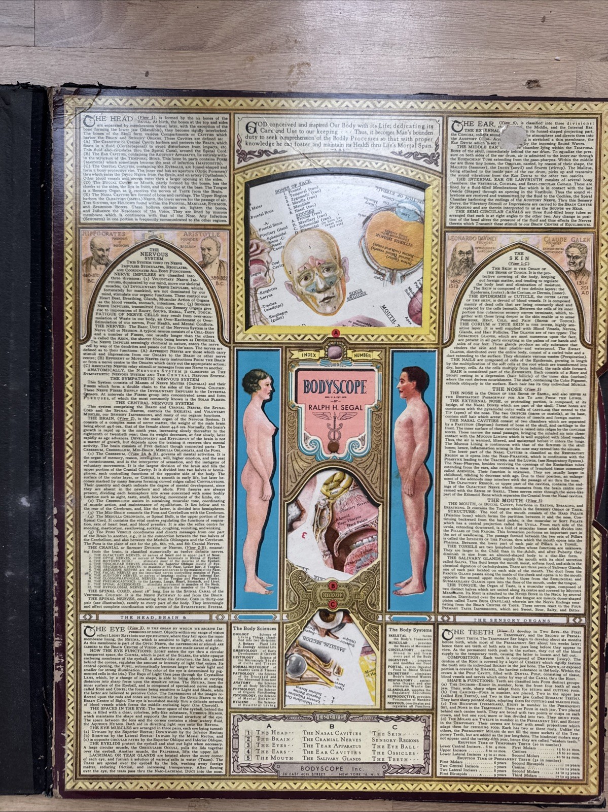 Bodyscope by Ralph H. Segal Human Anatomy Medical Chart and Case 1948 Flaws