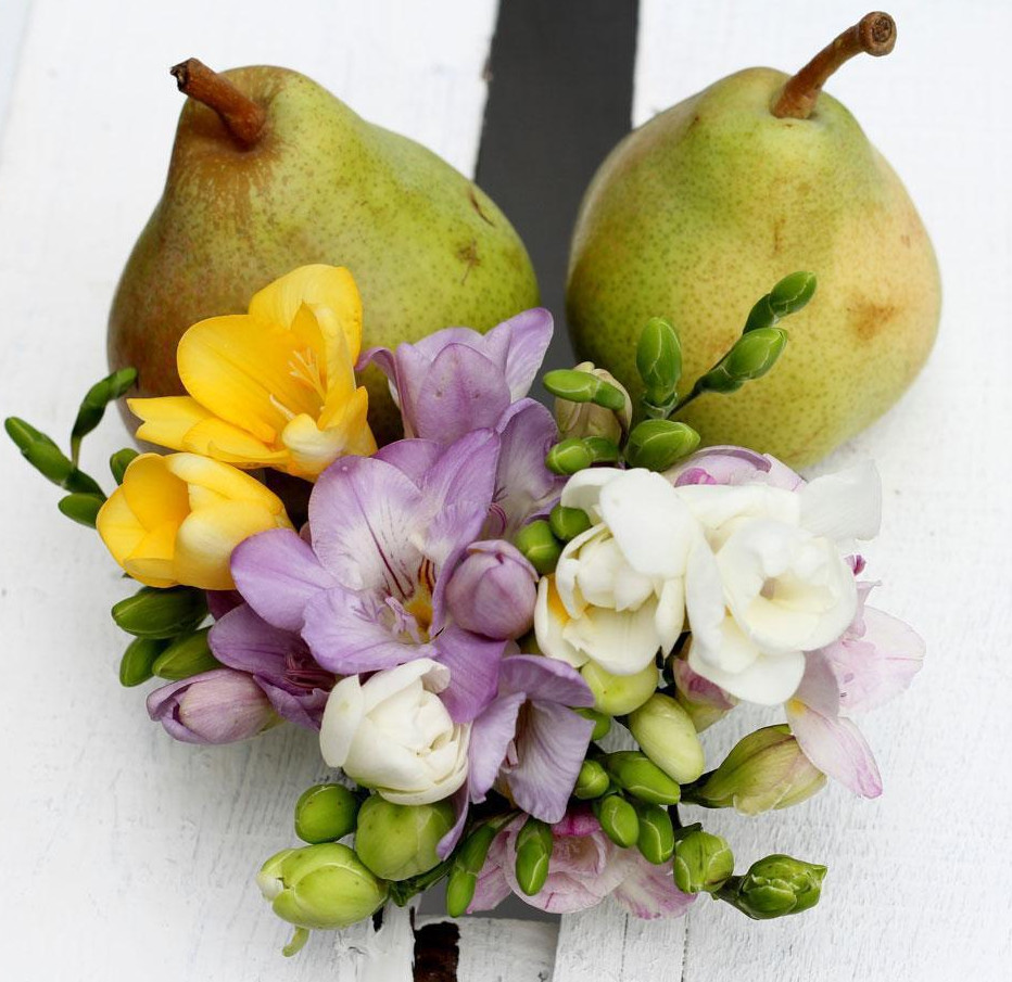 Jo Malone English Pear & Freesia 3.4 oz / 100 ml for Unisex New in Sealed Box