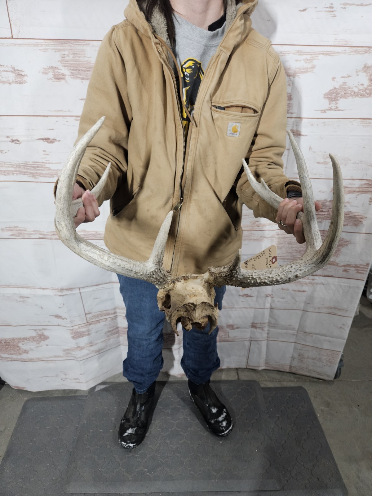 Wild 8 Point Whitetail Deer Antler Rack Horn European Skull Mount Man Cave 122"