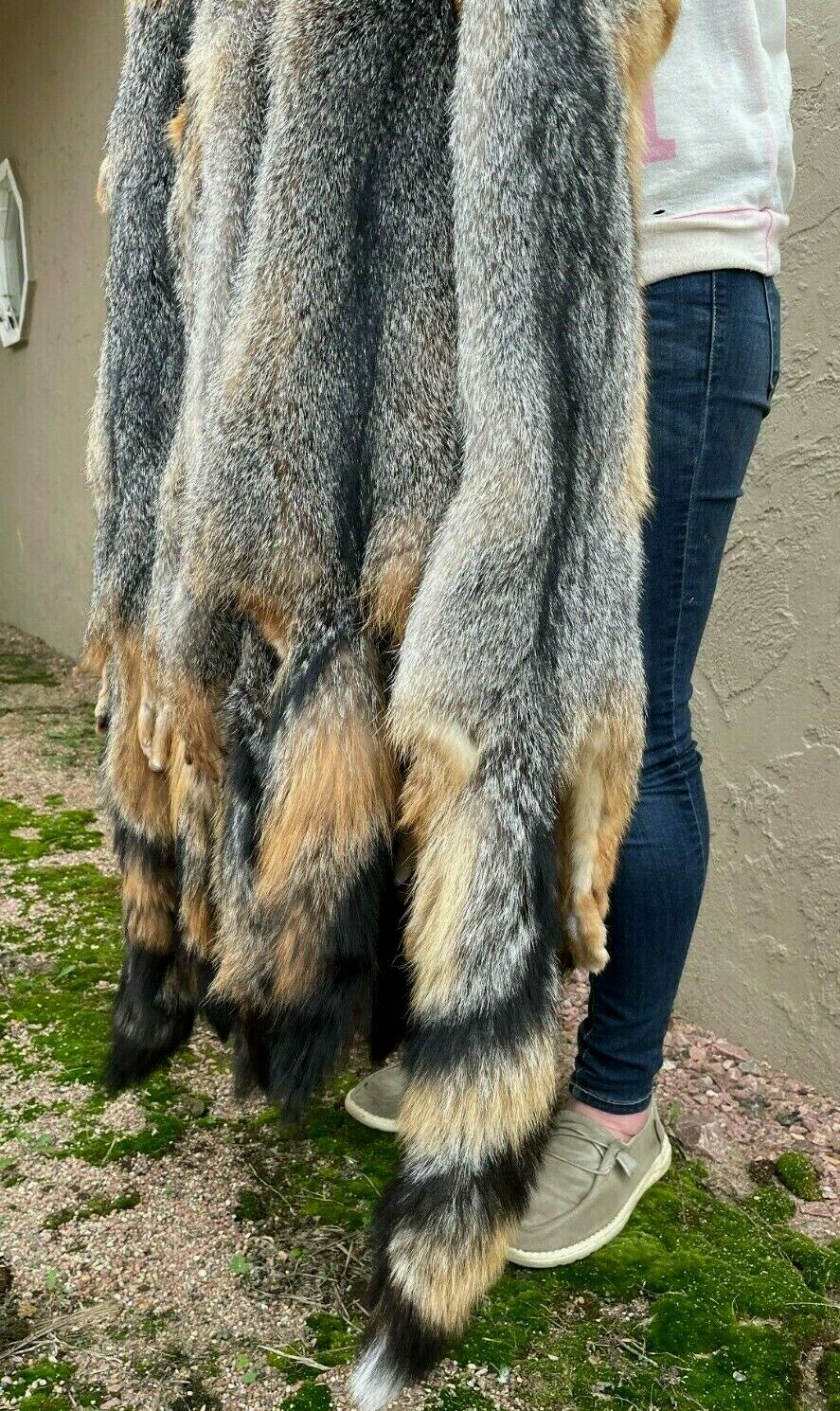 Tanned Grey Fox Winter “Heavy Fur” Northeast US, Gray