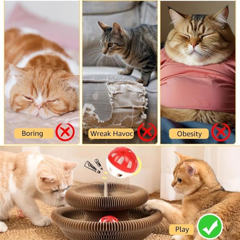 Accordion Magic Organ Cat Scratching Board Toy Kitty Kurlz Ball Scratch Pad