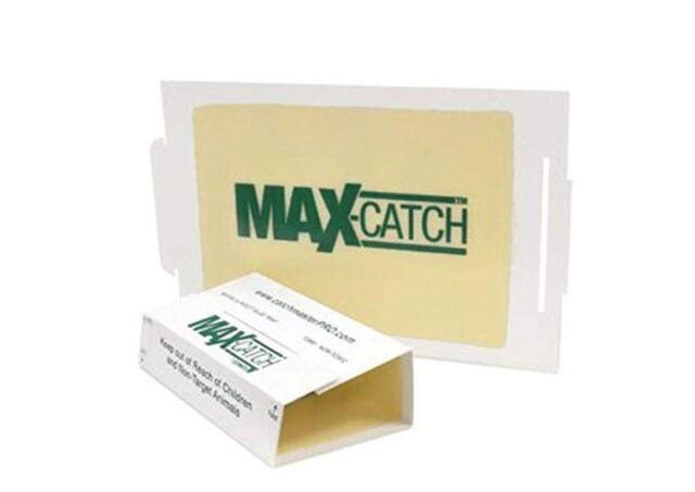 Catchmaster 72Max Glue Board Mouse Insects Trap 36 Count AP&G