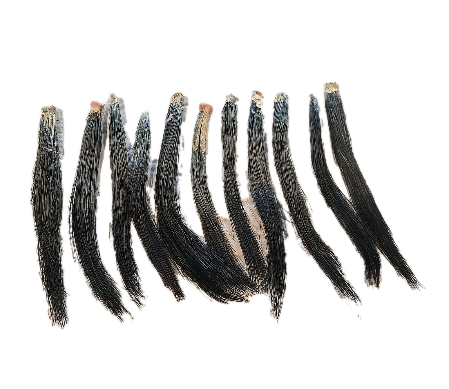 11 Giant Fat Wild Turkey Beards Taxidermy Bird Crafts 9-12" #1