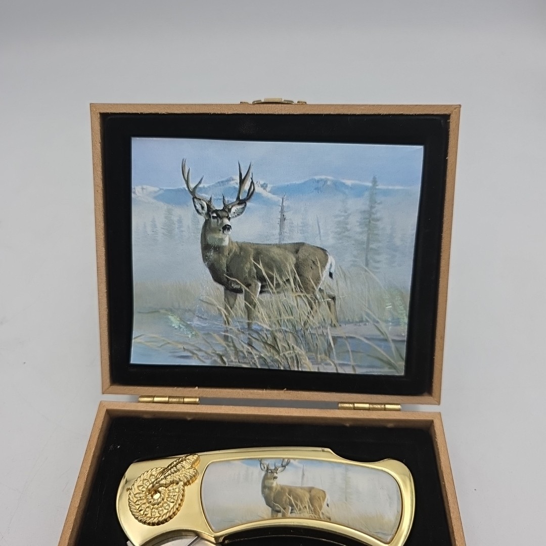 Gold Hunting Knife in Case with Buck Picture on Knife and Inside Box 7"